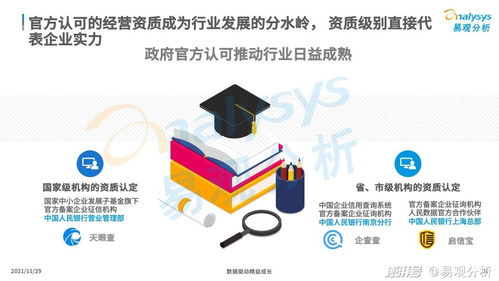 商业查询 社会信用体系的基石与未来机遇