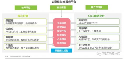 中国商业查询典型厂商案例与商业信息咨询服务分析