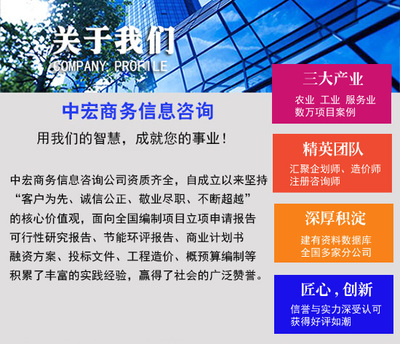 汕头定做商业计划书代写与图文展商业信息咨询服务指南